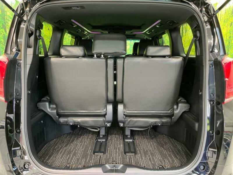 ALPHARD-10
