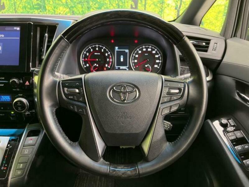 ALPHARD-11