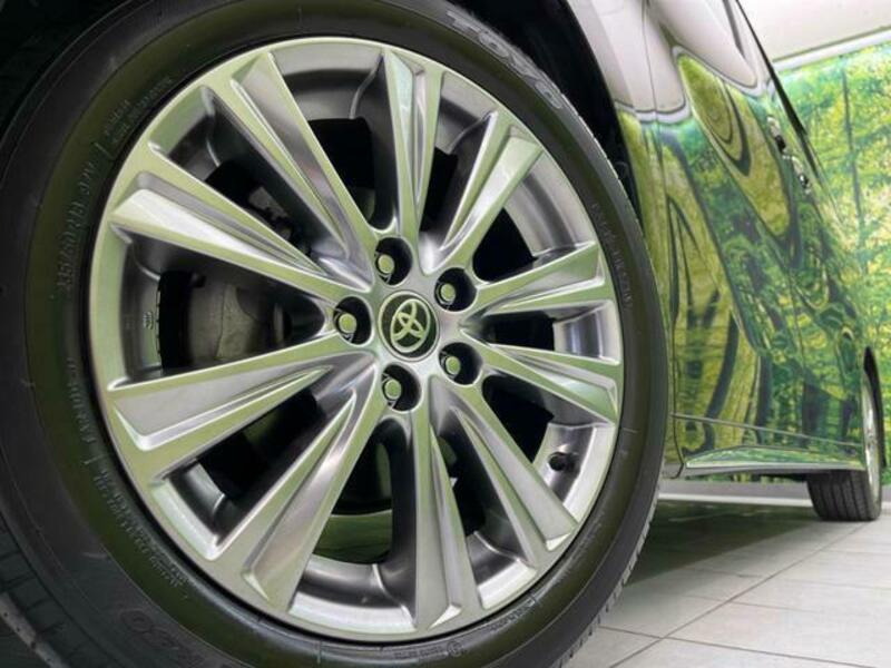 ALPHARD-13