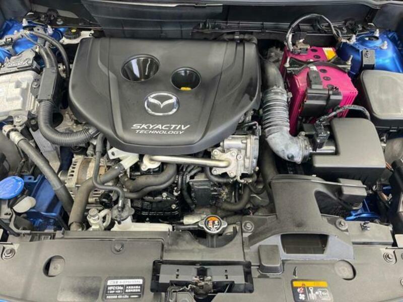 CX-3-17