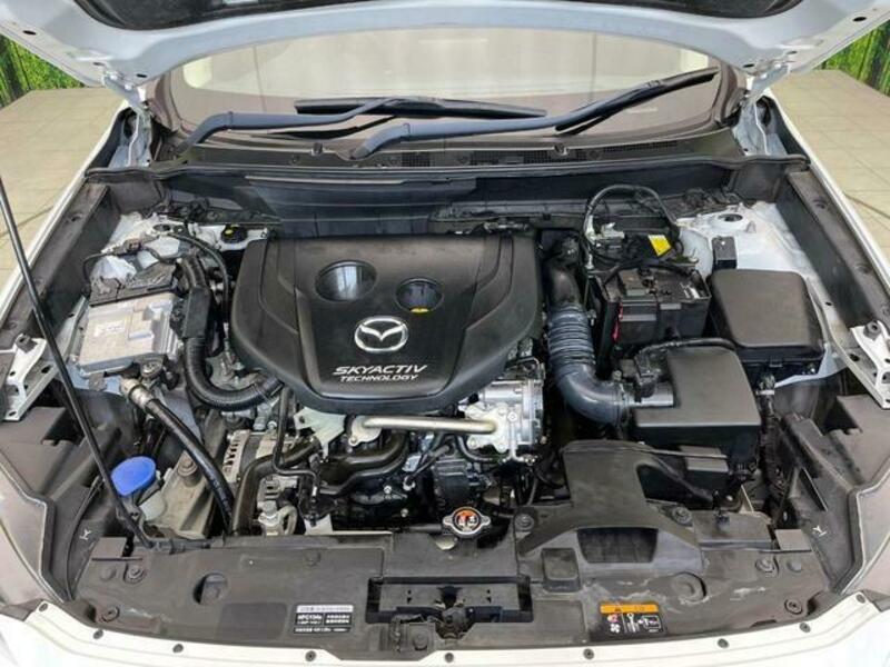 CX-3-17