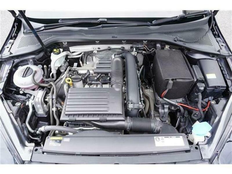 GOLF VARIANT