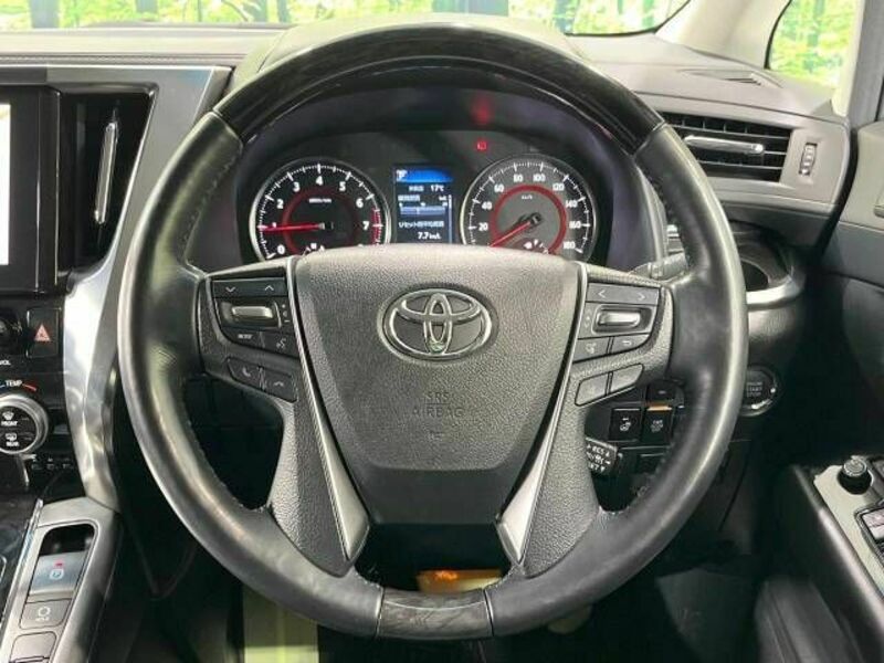 ALPHARD-10