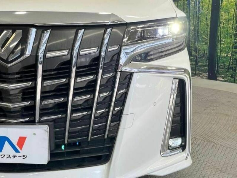 ALPHARD-11