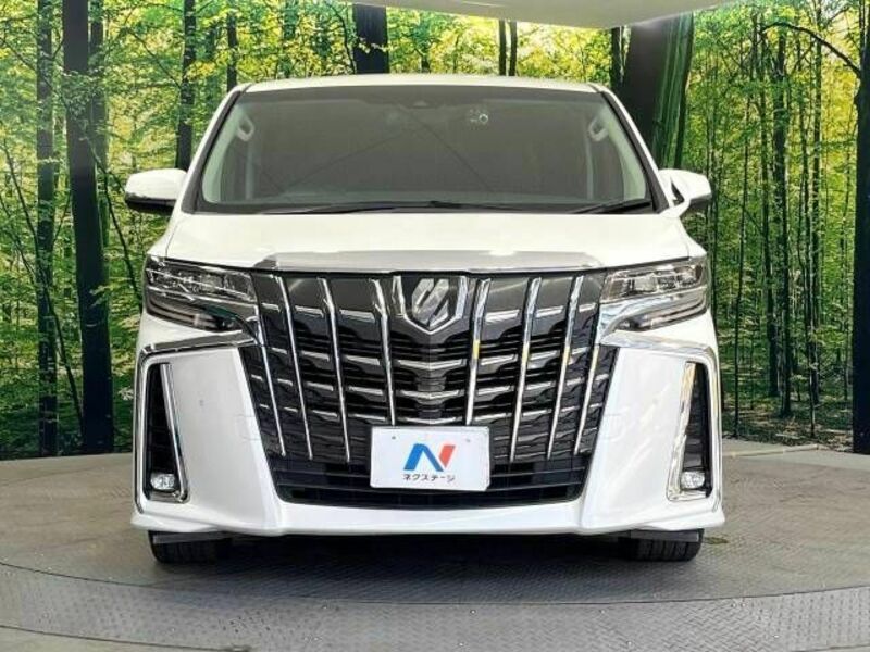 ALPHARD-13