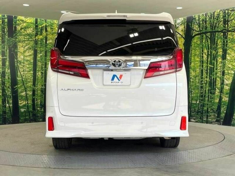 ALPHARD-14