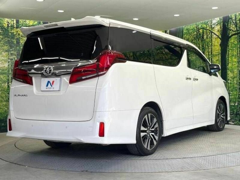 ALPHARD-16