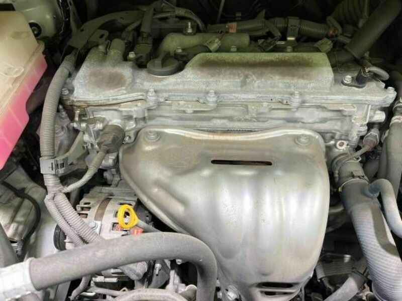 ALPHARD-17