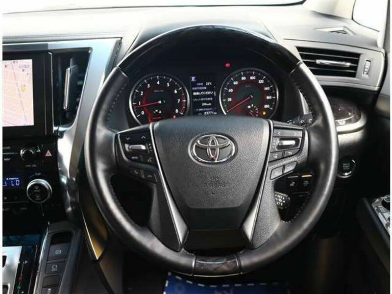 ALPHARD-16