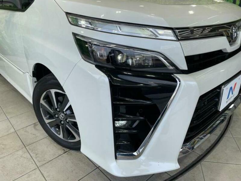 VOXY-11
