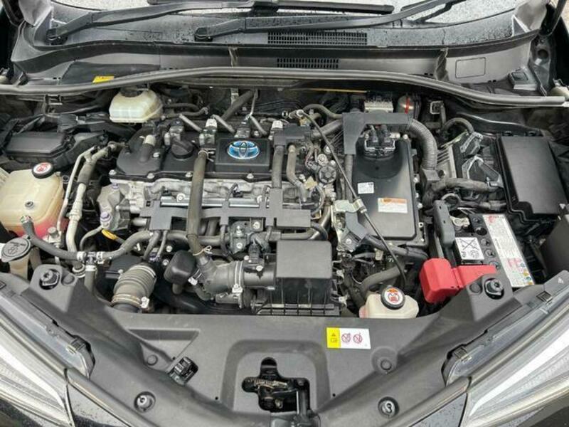 C-HR-18