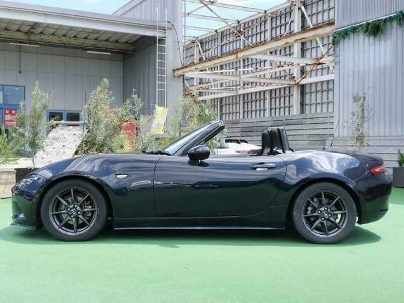 ROADSTER-17