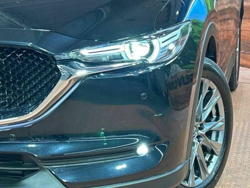CX-5-11
