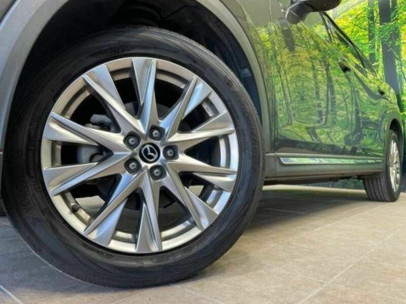 CX-8-13