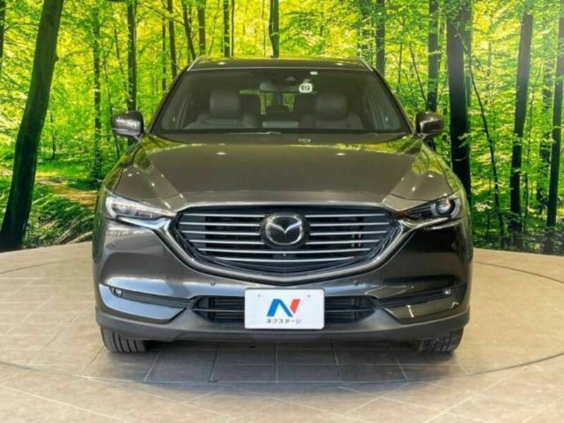 CX-8-15