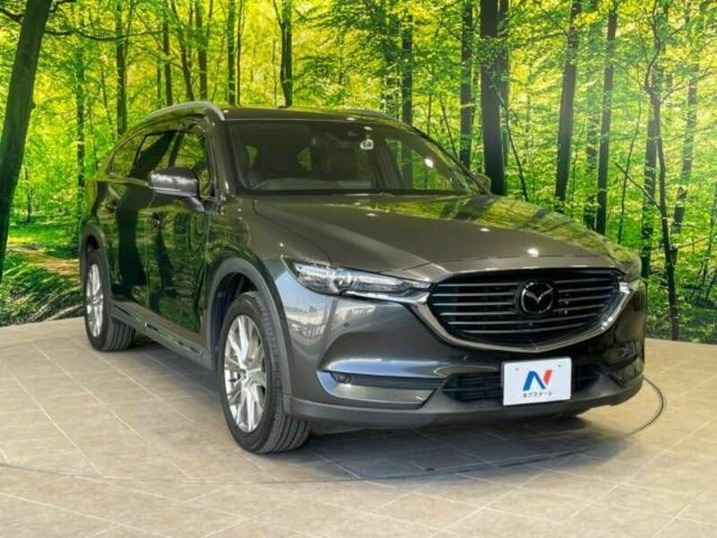 CX-8-17