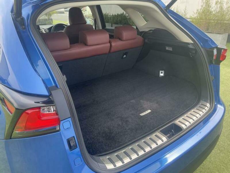 NX