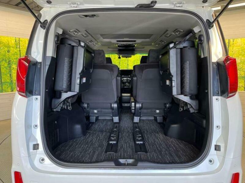 ALPHARD-10