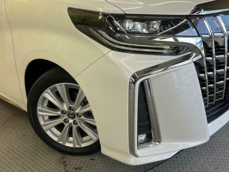 ALPHARD-12