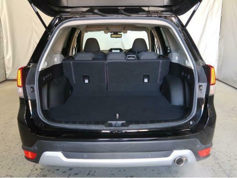FORESTER-8