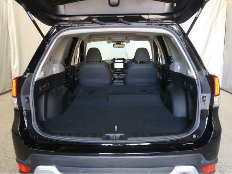 FORESTER-9