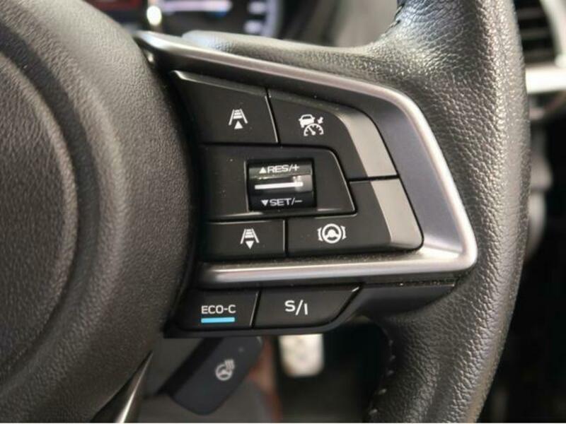 FORESTER-12
