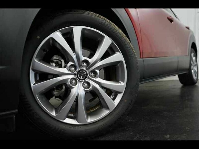 CX-30-3