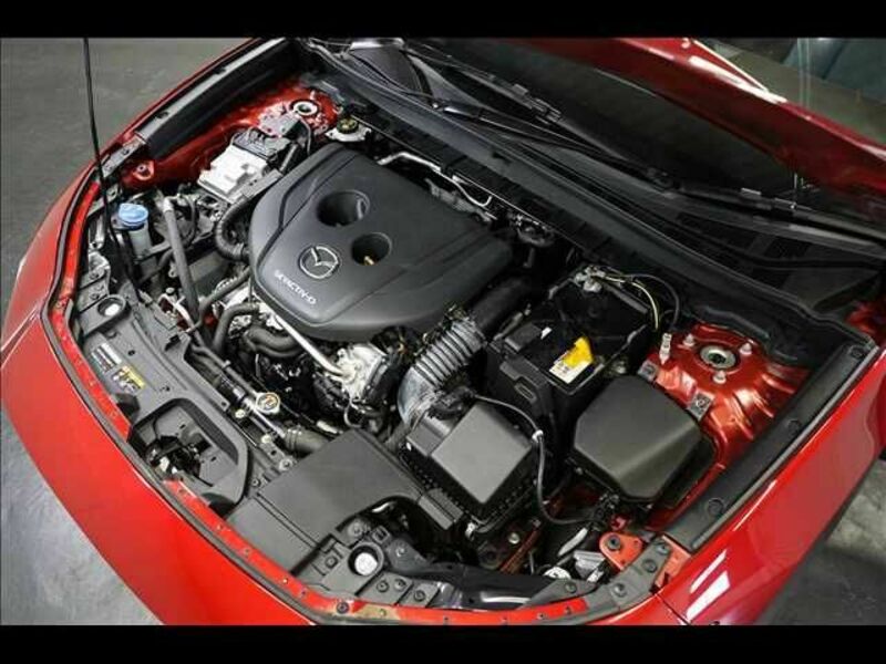 CX-30-19