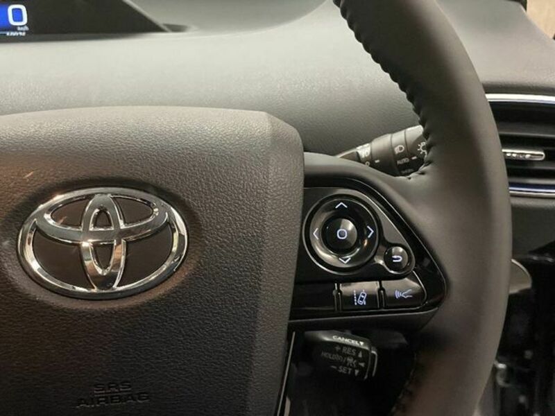 PRIUS-19