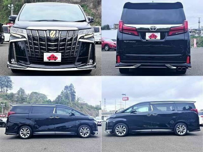 ALPHARD-3