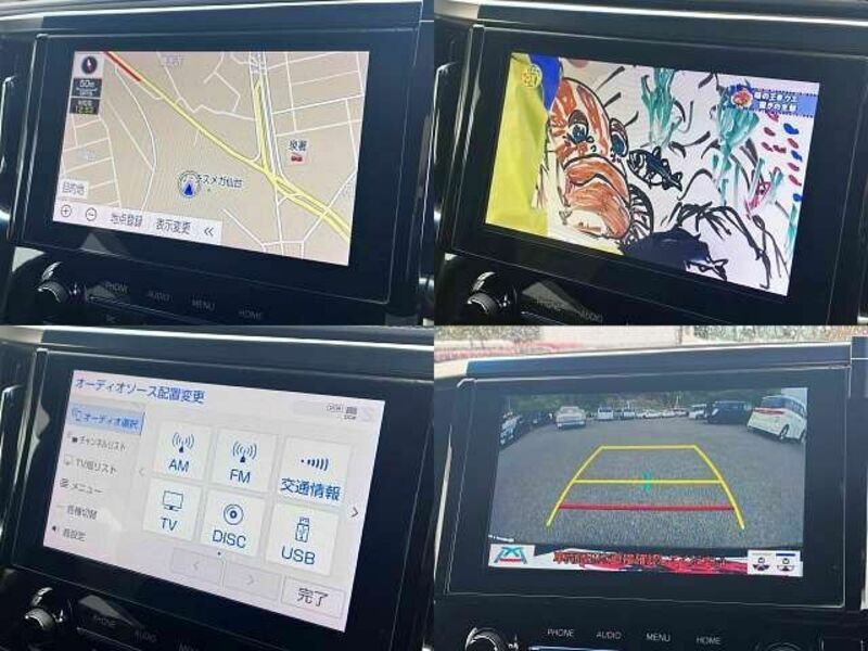 ALPHARD-8
