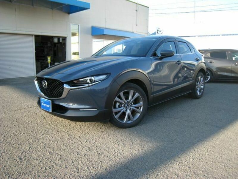 CX-30