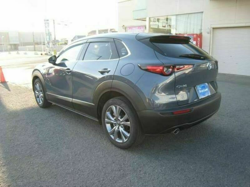 CX-30