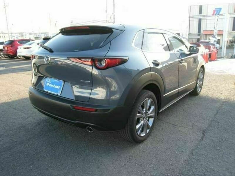 CX-30