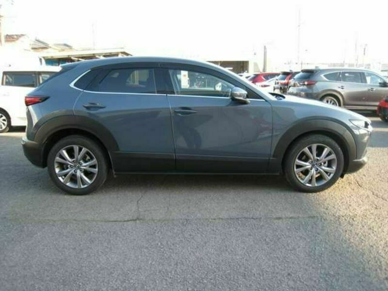 CX-30