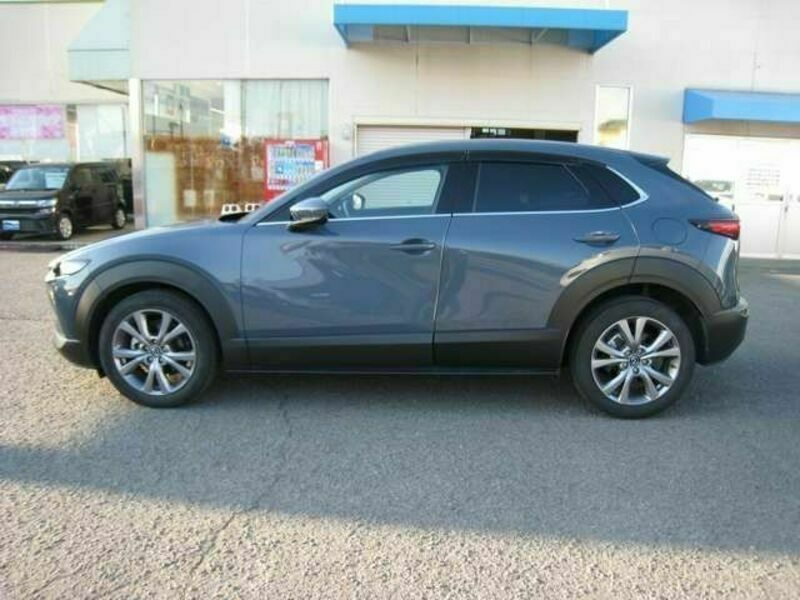 CX-30