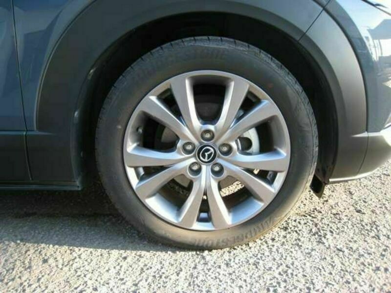 CX-30