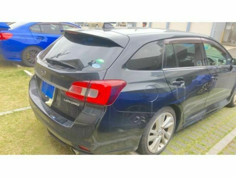 LEVORG