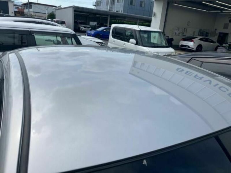 BLUEBIRD SYLPHY-6