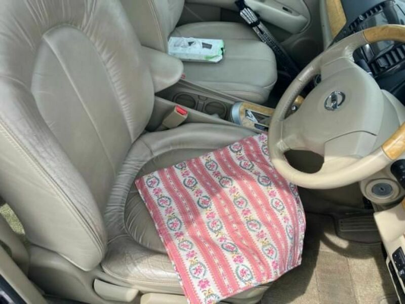 BLUEBIRD SYLPHY-15