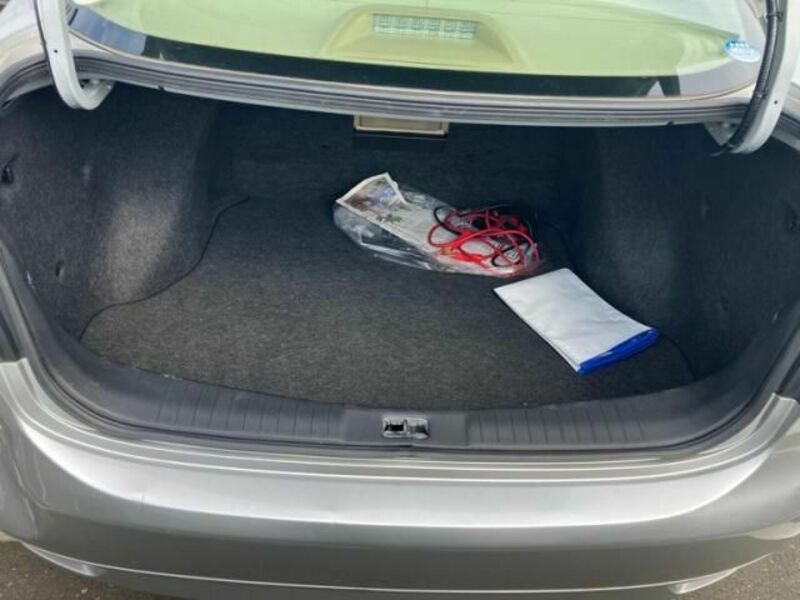 BLUEBIRD SYLPHY-19