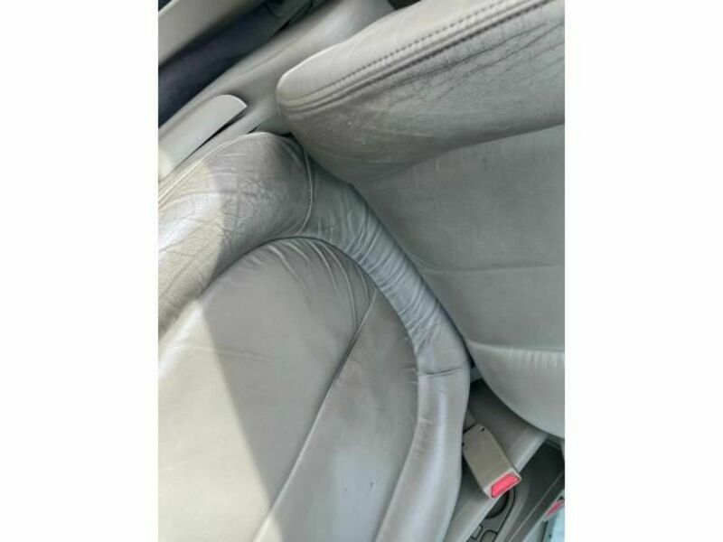 BLUEBIRD SYLPHY-29