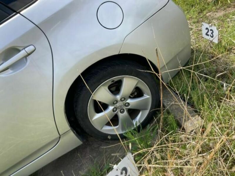 PRIUS-7