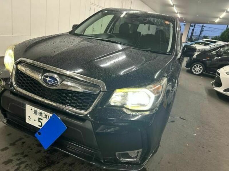 FORESTER-1