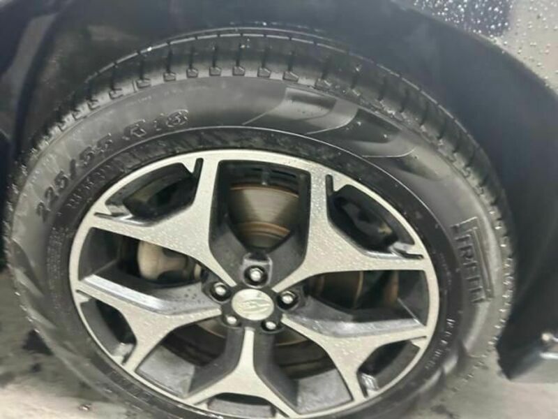 FORESTER-2