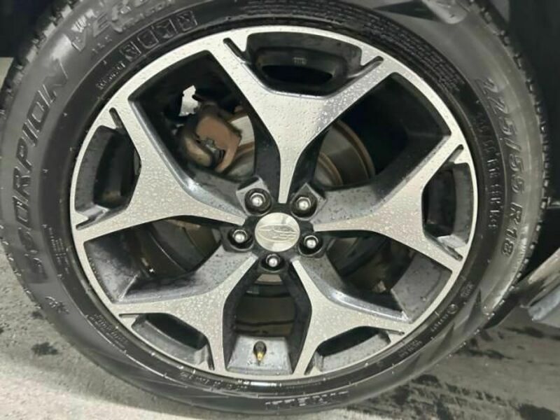FORESTER-3