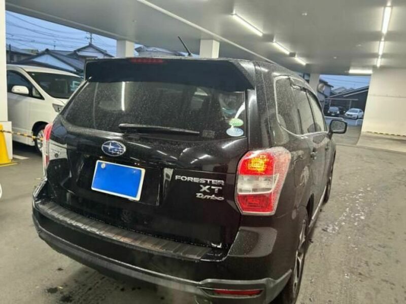 FORESTER-5