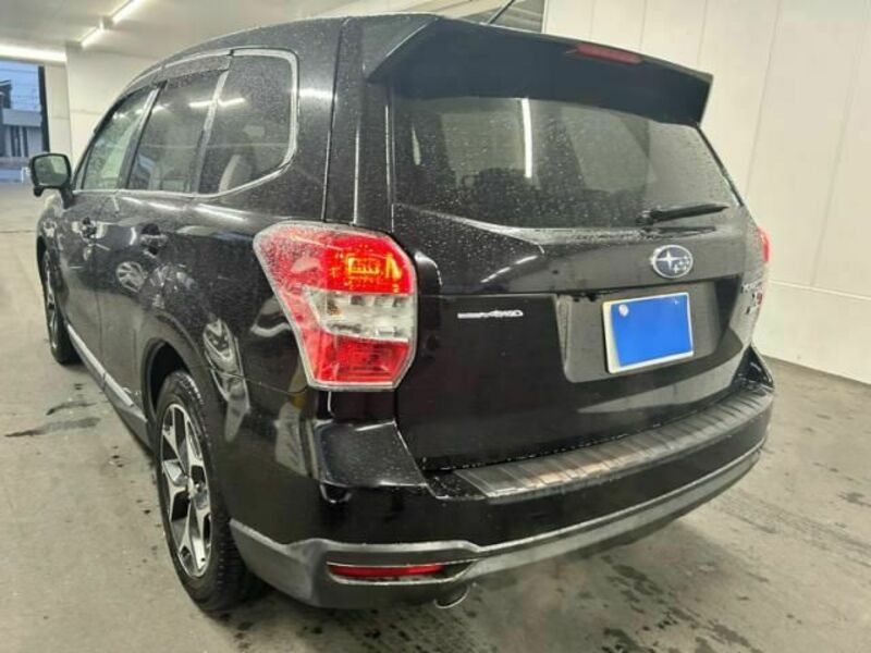FORESTER-6