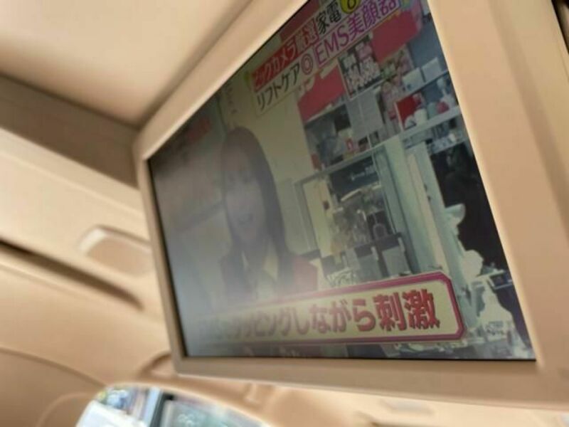ALPHARD-22