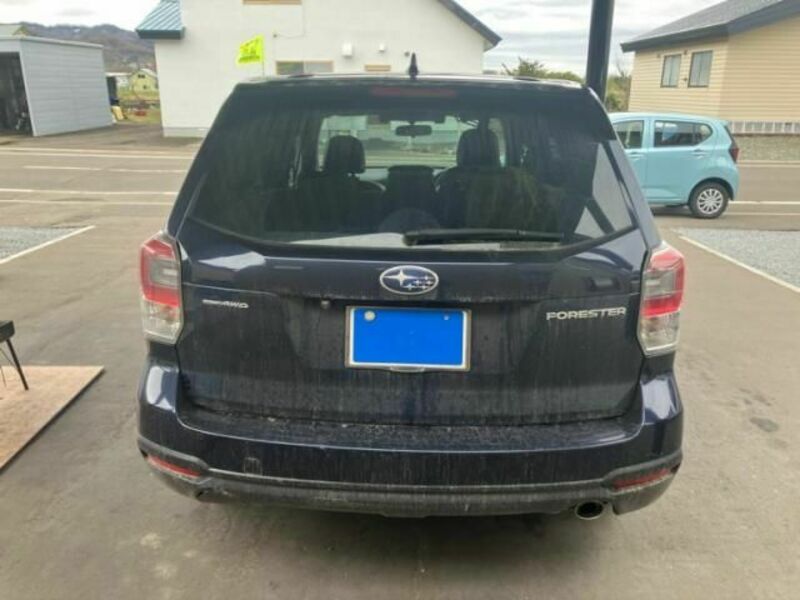FORESTER